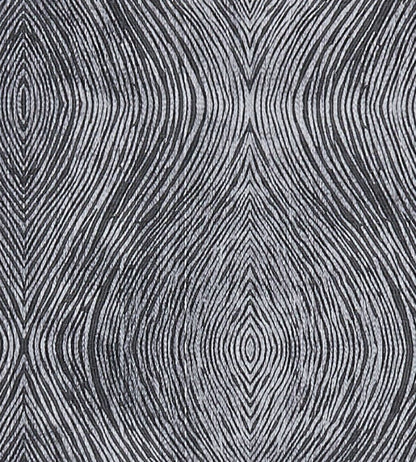 Luster Fabric by Clarke & Clarke Charcoal