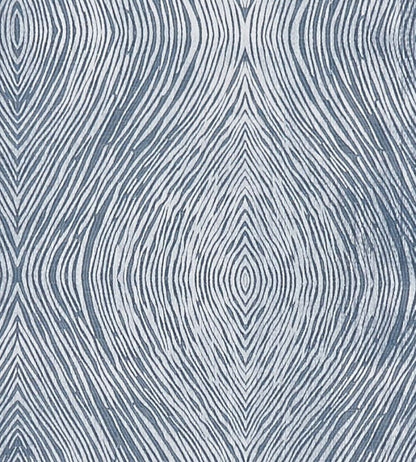 Luster Fabric by Clarke & Clarke Denim