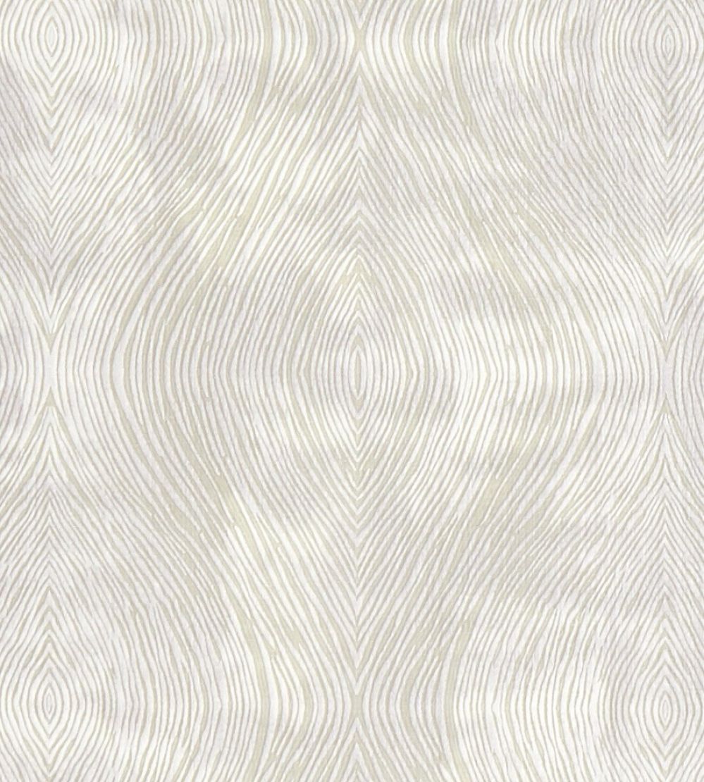 Luster Fabric by Clarke & Clarke Ivory