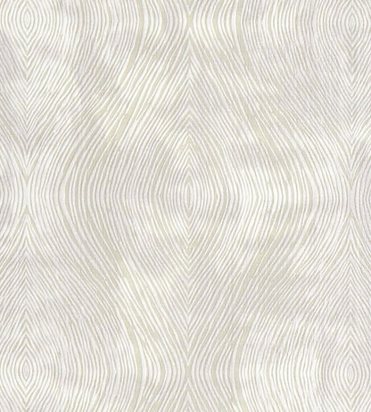 Luster Fabric by Clarke & Clarke Ivory