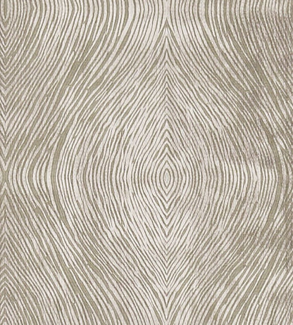 Luster Fabric by Clarke & Clarke Mocha