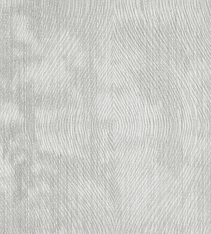 Luster Fabric by Clarke & Clarke Silver