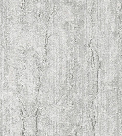 Mystic Fabric by Clarke & Clarke Silver
