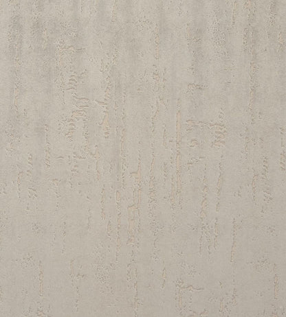 Aurora Fabric by Clarke & Clarke Pebble