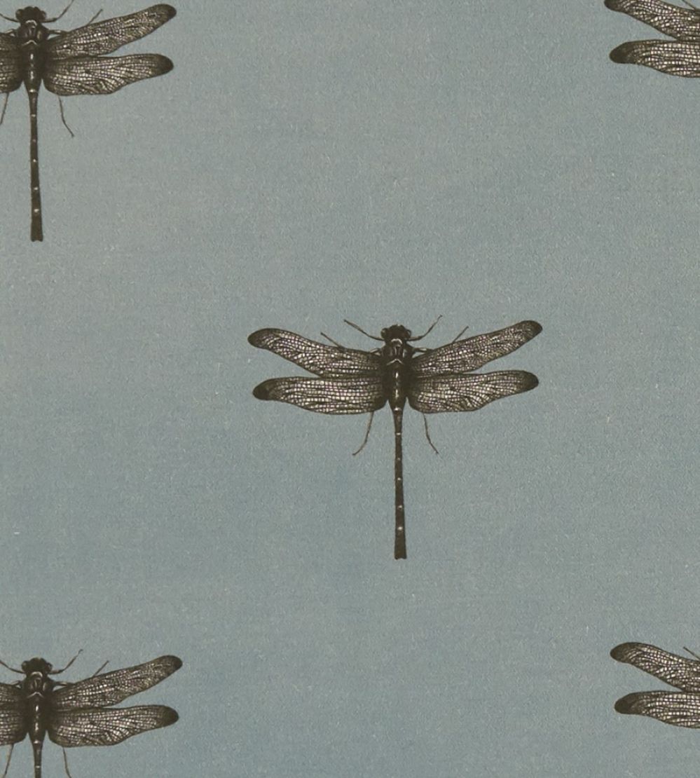 Azure Fabric by Clarke & Clarke Mineral