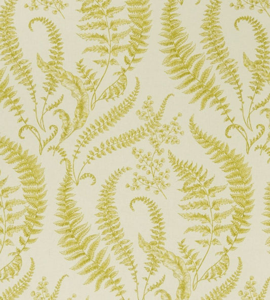 Folium Fabric by Clarke & Clarke Chartreuse
