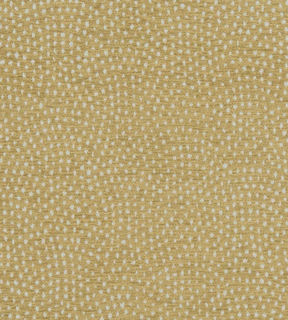 Nebula Fabric by Clarke & Clarke Antique