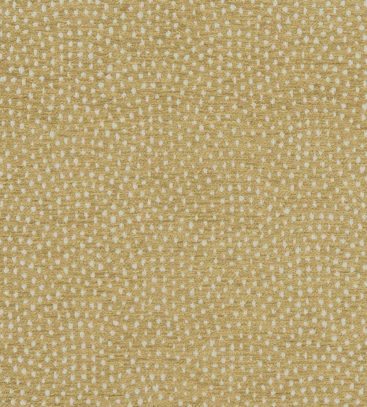 Nebula Fabric by Clarke & Clarke Antique