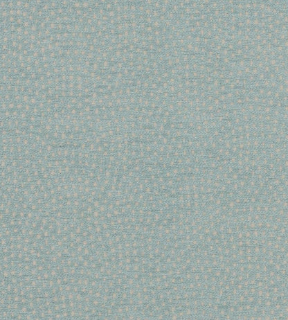 Nebula Fabric by Clarke & Clarke Duckegg