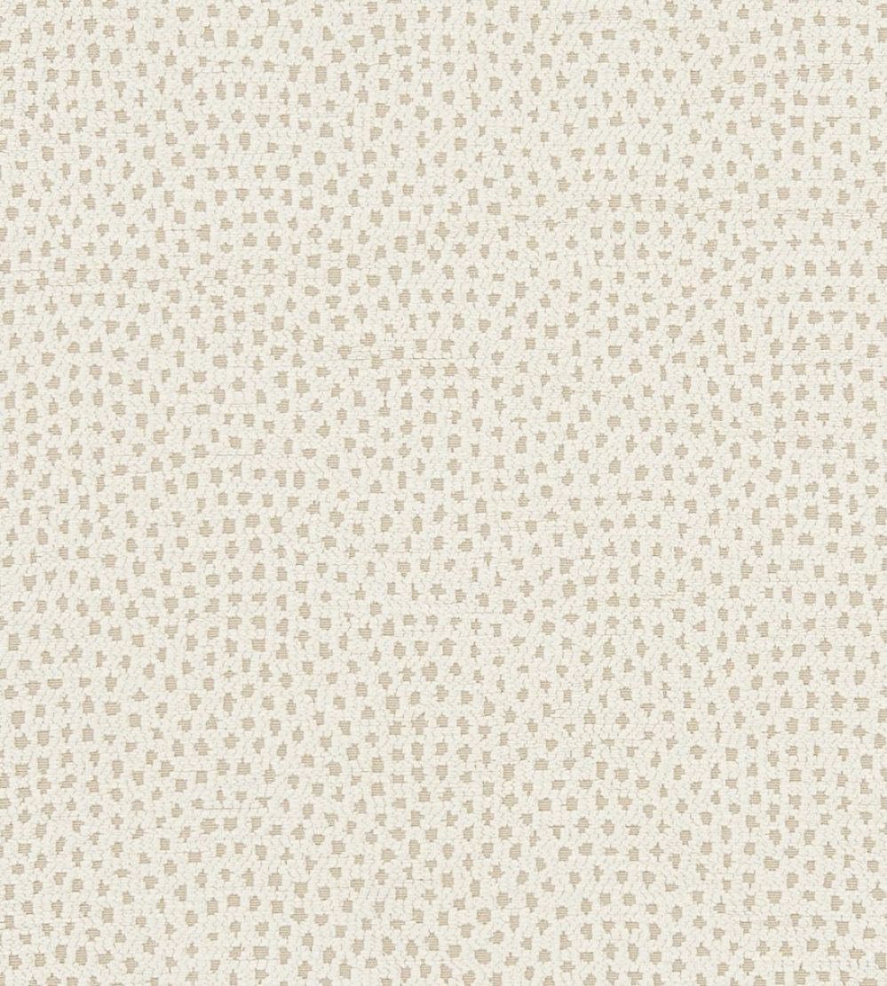 Nebula Fabric by Clarke & Clarke Ivory