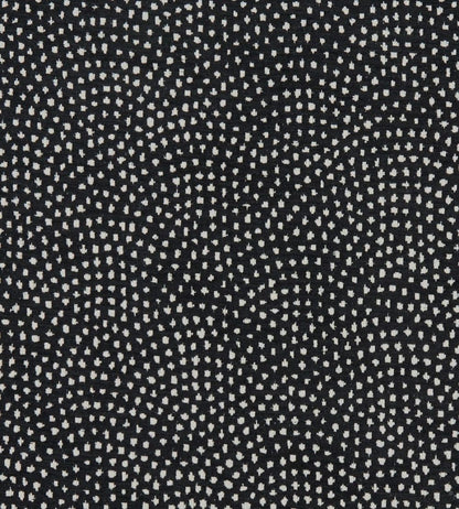 Nebula Fabric by Clarke & Clarke Noir