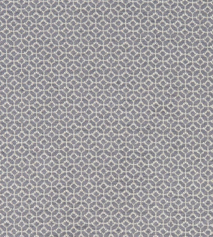 Orbit Fabric by Clarke & Clarke Charcoal