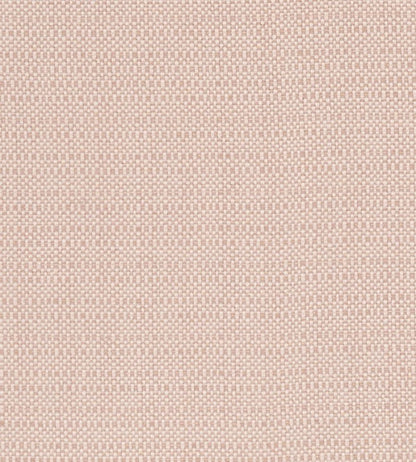 Kauai Fabric by Clarke & Clarke Blush