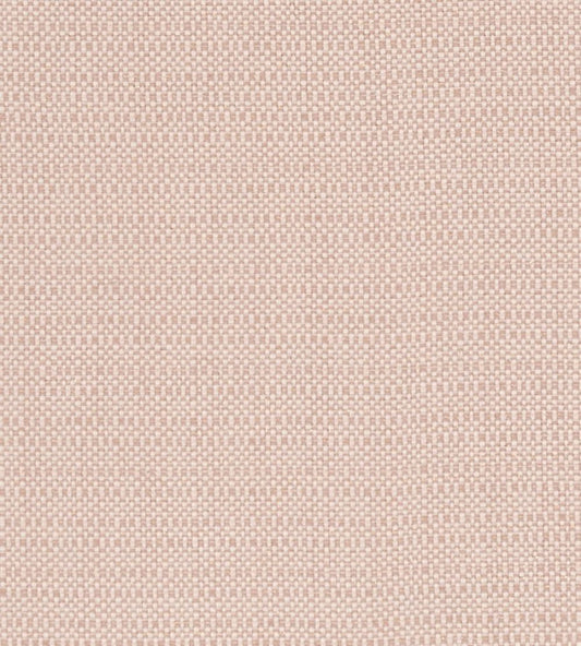 Kauai Fabric by Clarke & Clarke Blush