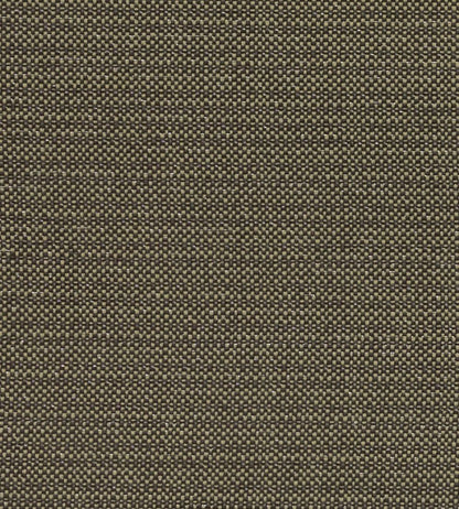 Kauai Fabric by Clarke & Clarke Charcoal