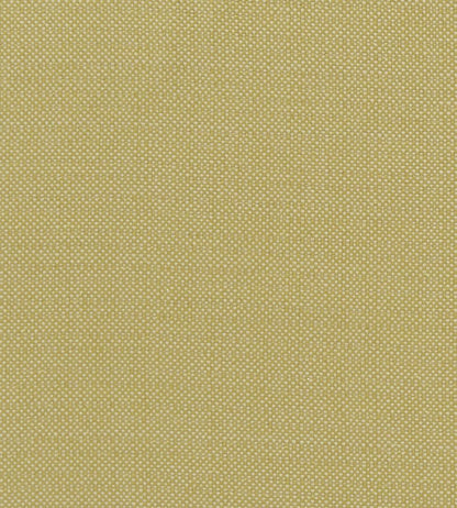 Kauai Fabric by Clarke & Clarke Citron