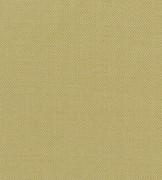 Kauai Fabric by Clarke & Clarke Citron
