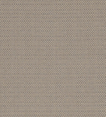 Kauai Fabric by Clarke & Clarke Mocha