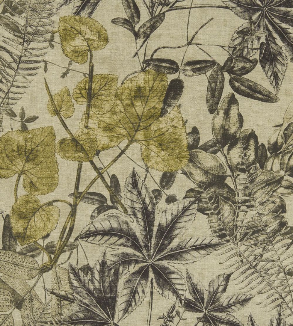 Madagascar Fabric by Clarke & Clarke Charcoal / Chartreuse