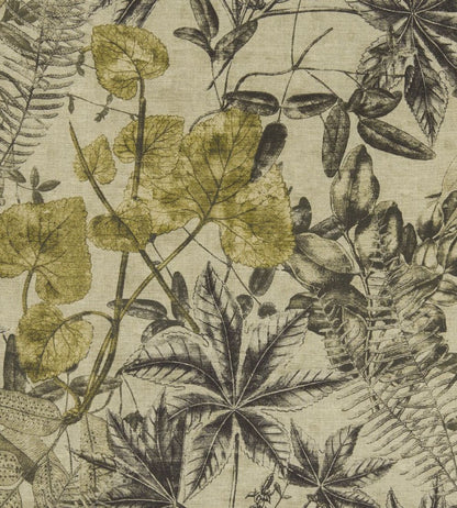 Madagascar Fabric by Clarke & Clarke Charcoal / Chartreuse