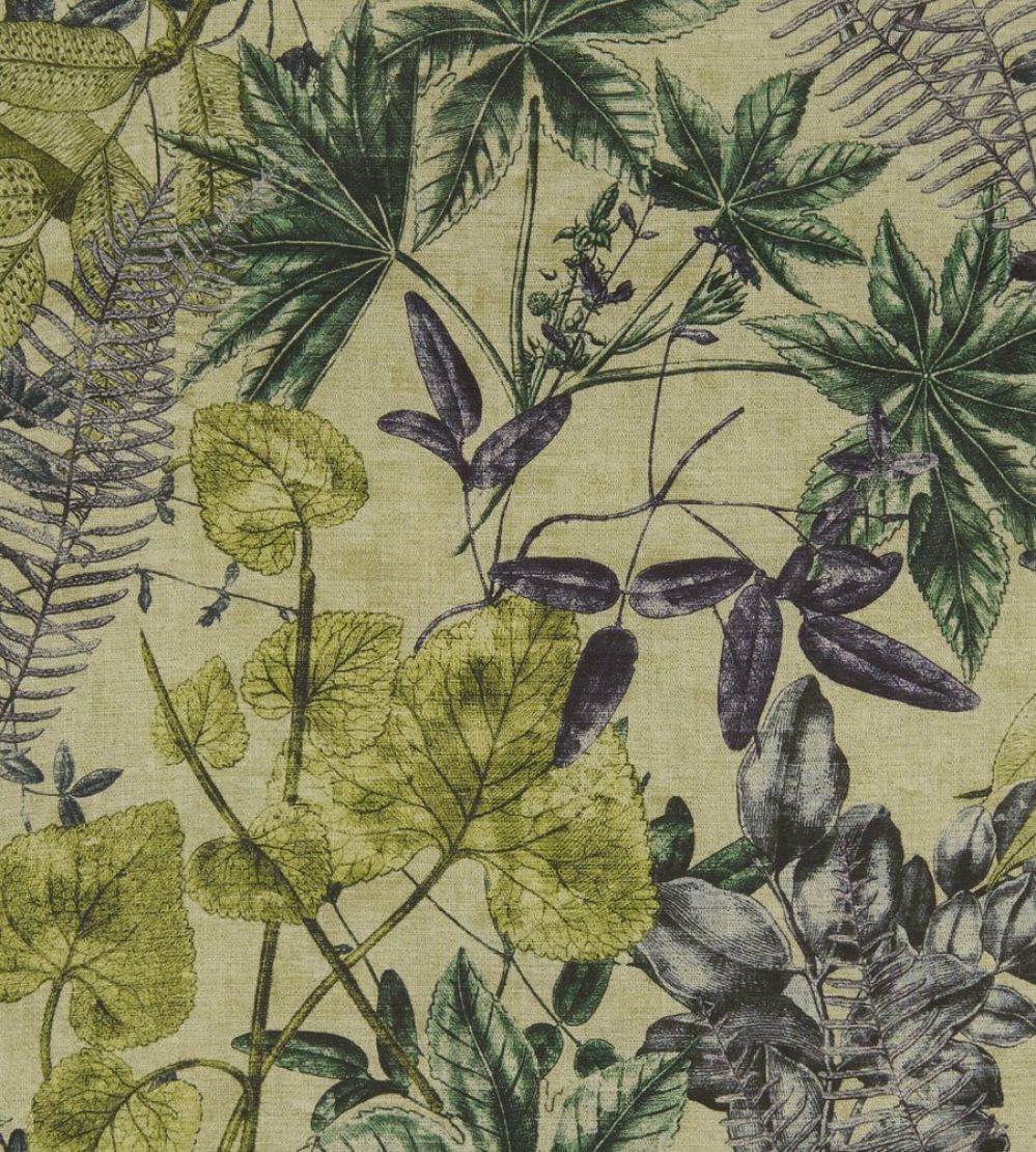 Madagascar Fabric by Clarke & Clarke Forest