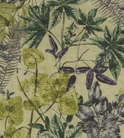 Madagascar Fabric by Clarke & Clarke Forest