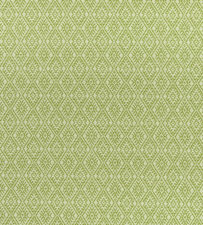 Hampstead Fabric by Clarke & Clarke Apple