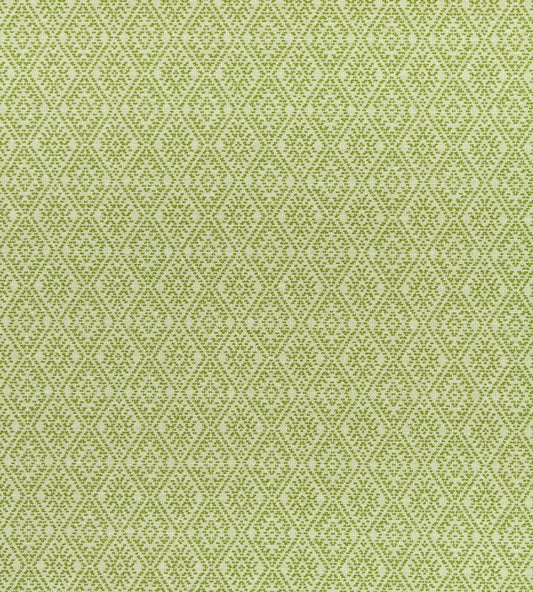 Hampstead Fabric by Clarke & Clarke Apple