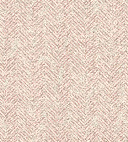 Ashmore Fabric by Clarke & Clarke Blush