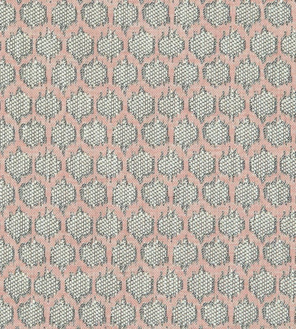 Dorset Fabric by Clarke & Clarke Blush