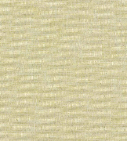 Milton Fabric by Clarke & Clarke Citron