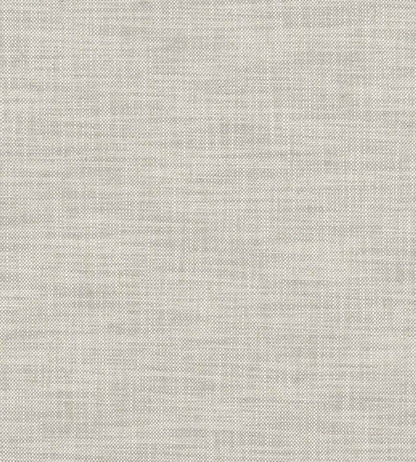 Milton Fabric by Clarke & Clarke Dove