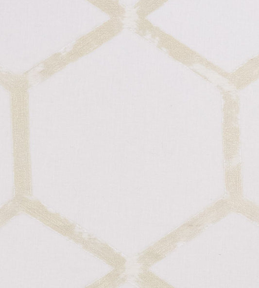 Forma Fabric by Clarke & Clarke Champagne