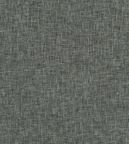Midori Fabric by Clarke & Clarke Charcoal