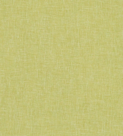 Midori Fabric by Clarke & Clarke Citron