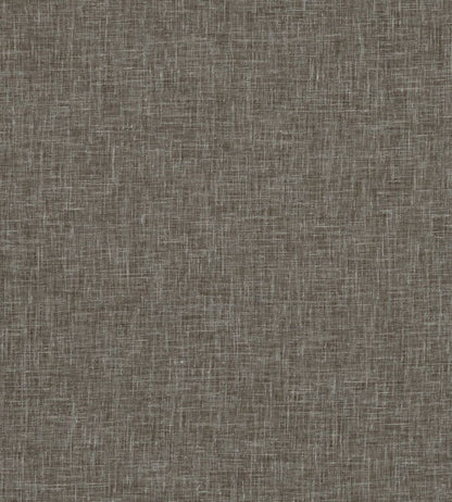 Midori Fabric by Clarke & Clarke Espresso