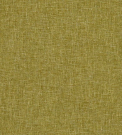 Midori Fabric by Clarke & Clarke Gold