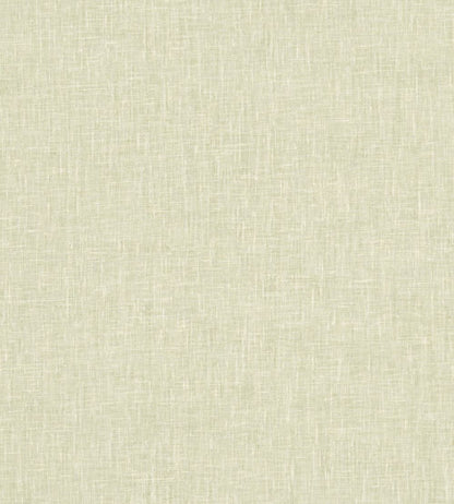 Midori Fabric by Clarke & Clarke Pistachio