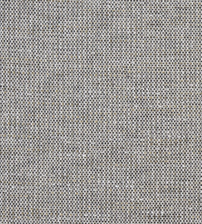 Louis Fabric by Clarke & Clarke Charcoal