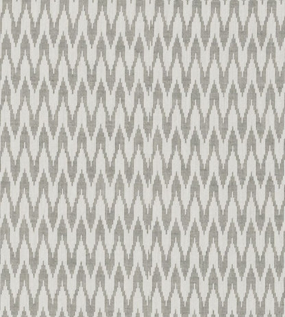 Apex Fabric by Clarke & Clarke Silver