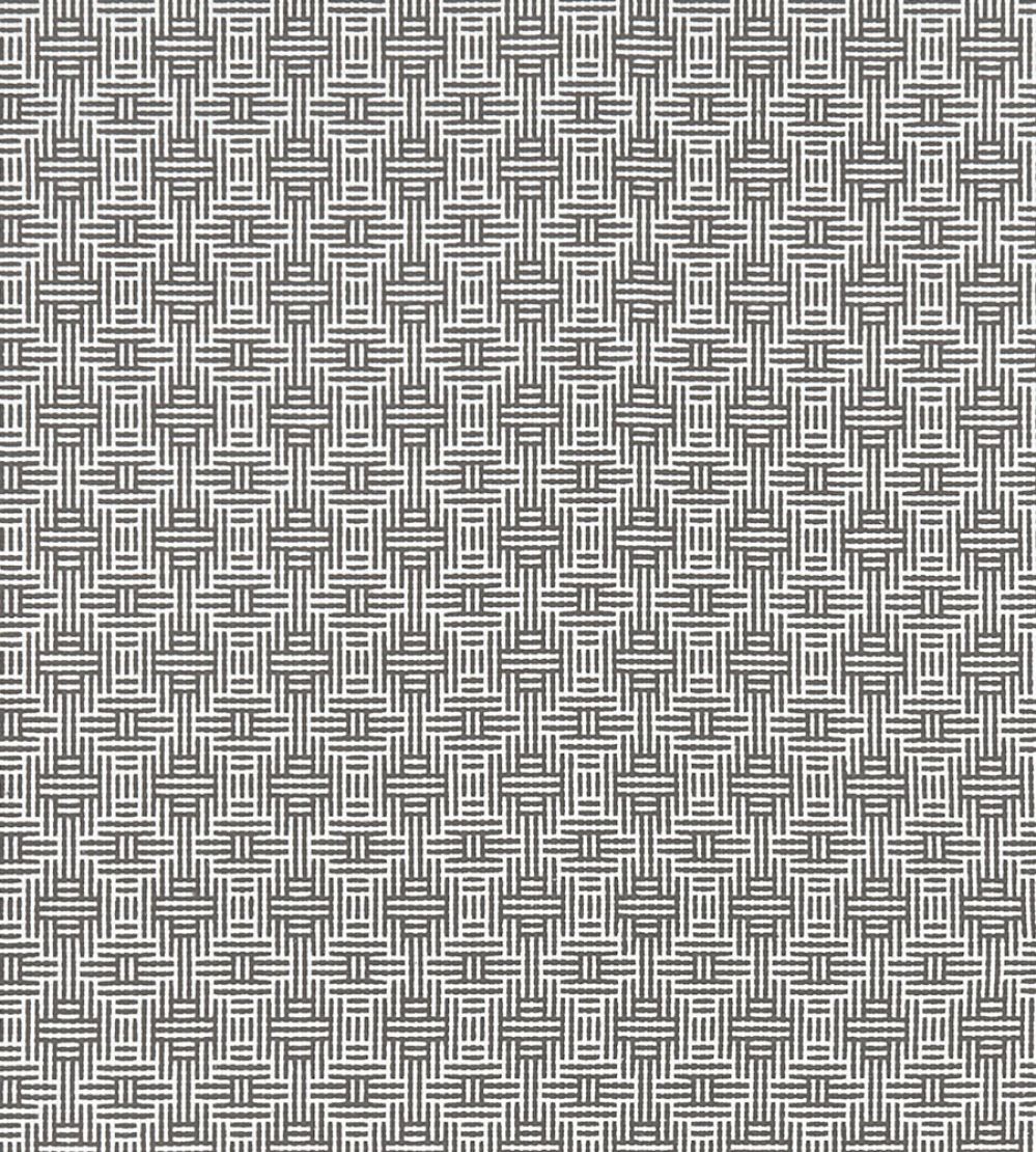 Aztec Fabric by Clarke & Clarke Charcoal