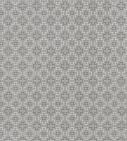 Aztec Fabric by Clarke & Clarke Charcoal