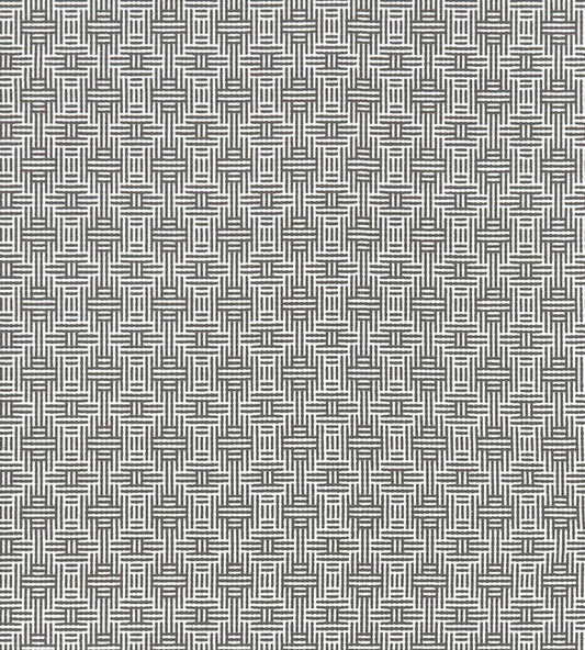Aztec Fabric by Clarke & Clarke Charcoal