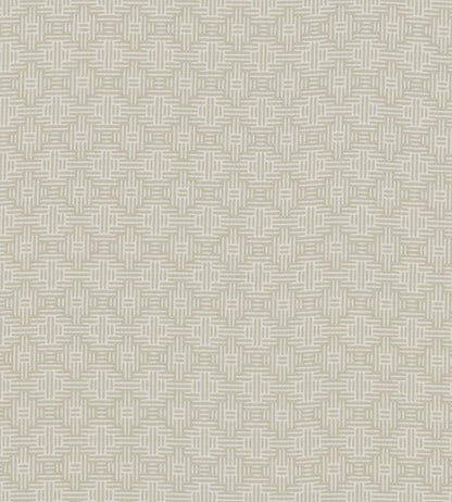 Aztec Fabric by Clarke & Clarke Ivory