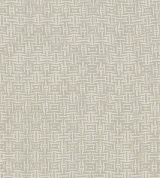 Aztec Fabric by Clarke & Clarke Ivory