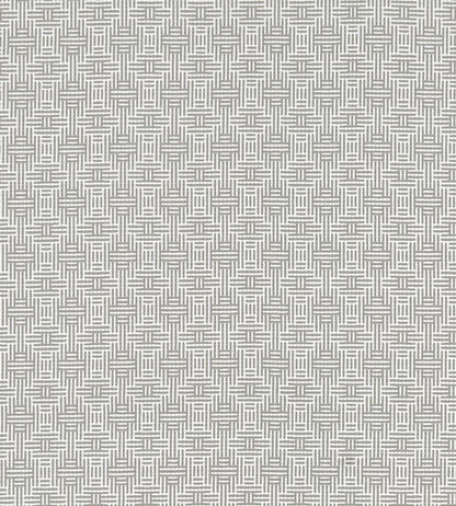 Aztec Fabric by Clarke & Clarke Silver