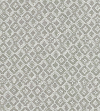 Mono Fabric by Clarke & Clarke Silver