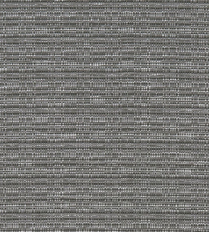 Ramie Fabric by Clarke & Clarke Charcoal