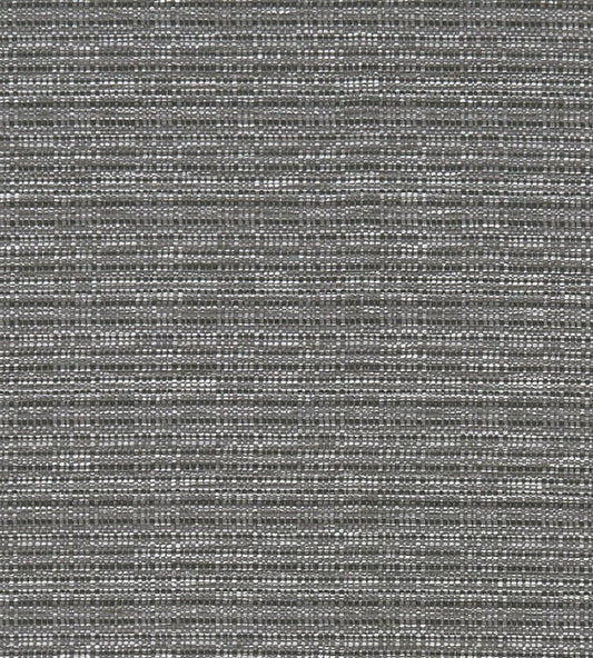 Ramie Fabric by Clarke & Clarke Charcoal