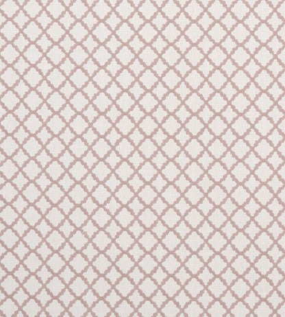 Ariyana Fabric by Clarke & Clarke Blush
